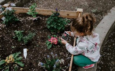 Gardening Ideas for Toddlers