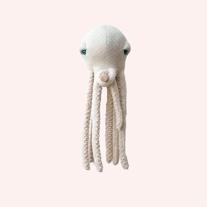 Albino Octopus - Big